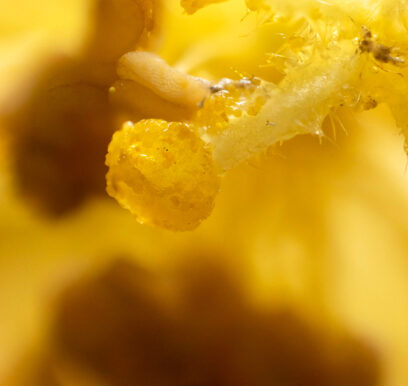 portafolio-macro-3