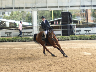 Evento Equitación