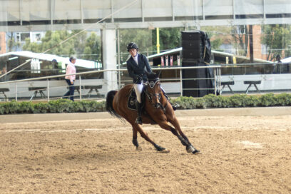 Evento Equitación